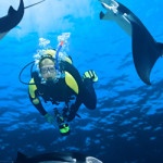 man scuba diving under water
